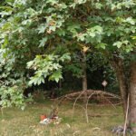 Schamanische Schwitzhütte im Frauenkreis